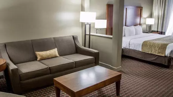 Comfort Inn & Suites Riverview | Iowa - Quad Cities (ve civarı) - Le Claire