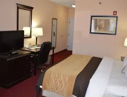 Comfort Inn Lincoln | Alabama - Oxford (ve civarı) - Lincoln