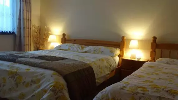 Currane Lodge | Kerry (kontluk) - Waterville