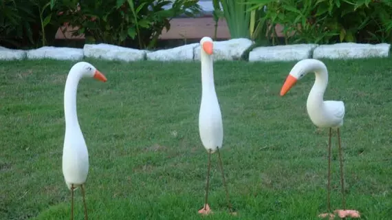 Porto Garden | Northeast Region - Bahia (eyaleti) - Porto Seguro (ve civarı) - Porto Seguro