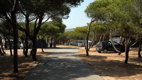 Parque De Campismo Orbitur Guincho | Lizbon Bölgesi