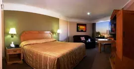 Hotel San Luis Lindavista | Sinaloa - Culiacan (ve civarı) - Culiacan - Guadalupe