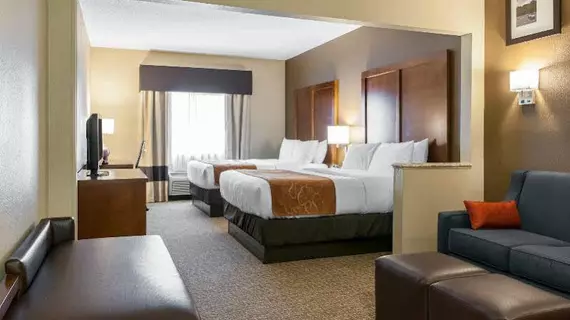 Comfort Suites Terre Haute | Indiana - Terre Haute (ve civarı) - Terre Haute