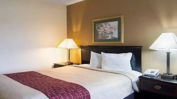 Econo Lodge | Arkansas - Pine Bluff (ve civarı) - Pine Bluff