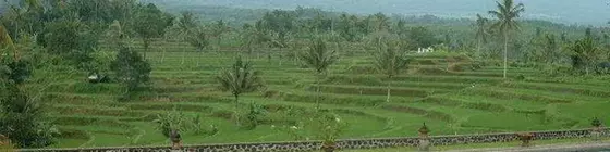 Ijen Resort and Villas | Doğu Cava - Banyuwangi - Banyuwangi