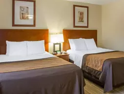 Comfort Inn Cockatoo Near LAX | Kaliforniya - Los Angeles County - Los Angeles - LAX Bölgesi