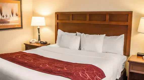 Quality Suites San Antonio | Teksas - San Antonio (ve civarı) - San Antonio - Kuzey San Antonio - SAT Havalimanı