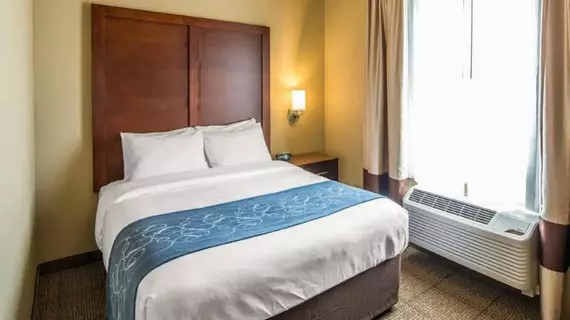 Comfort Suites Dodge City | Kansas - Dodge City (ve civarı) - Dodge City