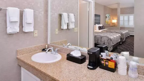 BEST WESTERN PLUS PARK PLACE I | Kaliforniya - Orange County - Anaheim - Anaheim Resort