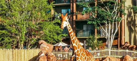 Disney's Animal Kingdom Lodge | Florida - Orlando (ve civarı) - Lake Buena Vista - Bay Lake