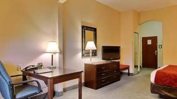 Comfort Suites Airport | Florida - Jacksonville (ve civarı) - Jacksonville