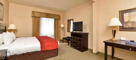 Comfort Inn & Suites Jerome | Idaho - Twin Falls (ve civarı) - Jerome