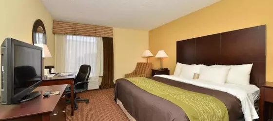 Comfort Inn and Suites Joplin | Missouri - Joplin (ve civarı) - Joplin