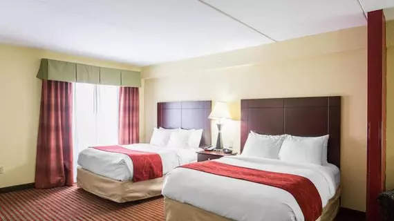 Comfort Suites Mount Juliet | Tennessee - Nashville-Davidson - Nashville (ve civarı) - Mount Juliet