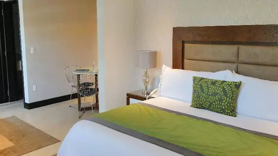 Áurea Hotel and Suites | Jalisco - Guadalajara (ve civarı) - Zapopan