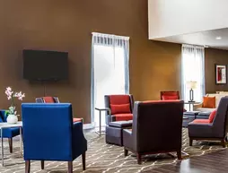 Comfort Suites Woodland - Sacramento Airport | Kaliforniya - Sacramento (ve civarı) - Woodland