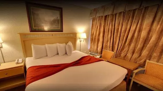 Rodeway Inn & Suites | Güney Karolayna - Myrtle Plajı (ve civarı) - Myrtle Beach