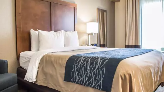 Comfort Inn & Suites Sanford | Florida - Sanford