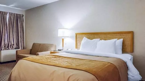 Comfort Inn Saint John | New Brunswick - Saint John (ve civarı) - Saint John