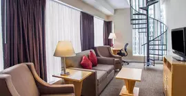 Comfort Suites Michigan Avenue | İllinois - Chicago (ve civarı) - Chicago - The Loop