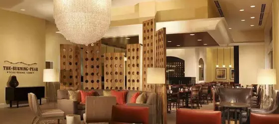 Sugar Land Marriott Town Square | Teksas - Houston (ve civarı) - Sugar Land