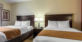 Comfort Suites Cullman | Alabama - Cullman (ve civarı) - Cullman