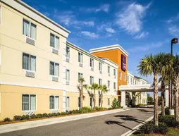 Comfort Suites Sarasota | Florida - Sarasota (ve civarı) - Sarasota - Bee Ridge