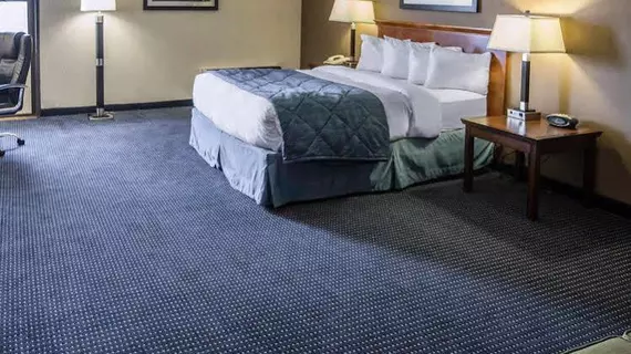 Quality Inn Schaumburg | İllinois - Schaumburg