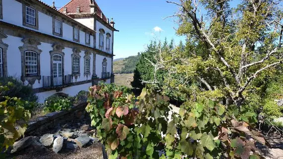 Casa das Torres de Oliveira | Norte - Vila Real Bölgesi - Mesao Frio