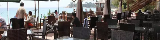 Hôtel Cavalière Surplage | Provence - Alpes - Cote d'Azur - Var - Toulon - Hyeres (ve civarı) - Le Lavandou - Cavaliere - Cavaliere Plajı