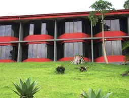 Hotel Arenal Palace | Alajuela (ili) - San Carlos (kantonu) - La Fortuna - Palma