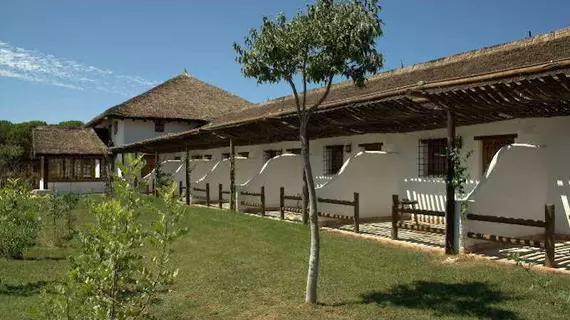 Ardea Purpurea | Andalucia - Seville İli - Aljarafe - Villamanrique de la Condesa