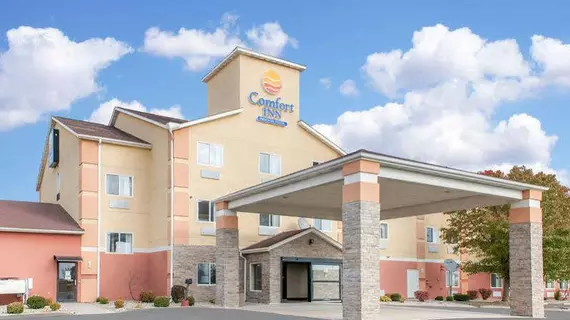 Comfort Inn | Indiana - Marion (ve civarı) - Warren