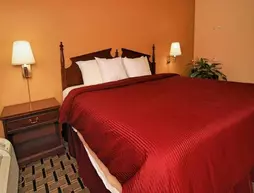 Clarion Inn & Suites Northwest | Indiana - Indianapolis (ve civarı) - Indianapolis