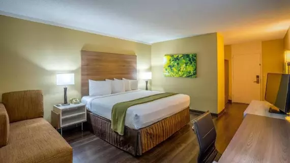 Wyndham Garden Washington DC North BW Parkway | Maryland - College Park (ve civarı) - Hyattsville