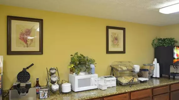 BAYMONT INN & SUITES PIGEON FO | Tennessee - Gatlinburg - Pigeon Forge (ve civarı) - Pigeon Forge