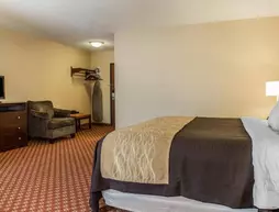 Comfort Inn Naugatuck | Connecticut - New Haven (ve civarı) - Naugatuck