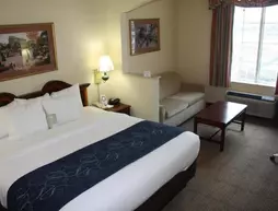 Comfort Suites New Orleans | Louisiana - New Orleans (ve civarı) - New Orleans