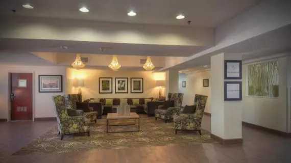 Hampton Inn Georgetown-Marina | Güney Karolayna - Myrtle Plajı (ve civarı) - Georgetown