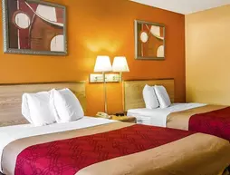 Econo Lodge Cumberland | Georgia - Brunswick (ve civarı) - Kingsland