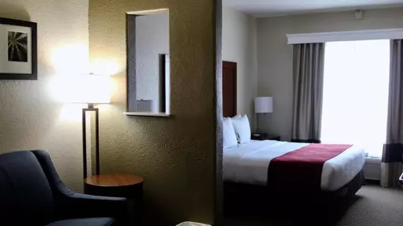 Comfort Suites North IH 35 | Teksas - San Antonio (ve civarı) - San Antonio - Kuzey San Antonio - SAT Havalimanı