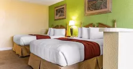 Rodeway Inn & Suites | Güney Karolayna - Myrtle Plajı (ve civarı) - Myrtle Beach