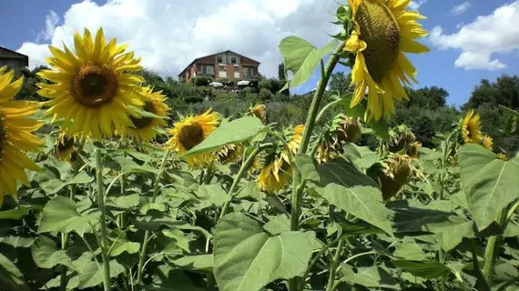 Hotel Sangallo | Toskana - Siena (vilayet) - Montepulciano