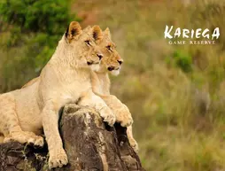 Kariega Game Reserve - Ukhozi Lodge | Eastern Cape - Ndlambe - Kenton on Sea