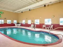 Comfort Inn Decatur | Alabama - Huntsville (ve civarı) - Decatur - Priceville