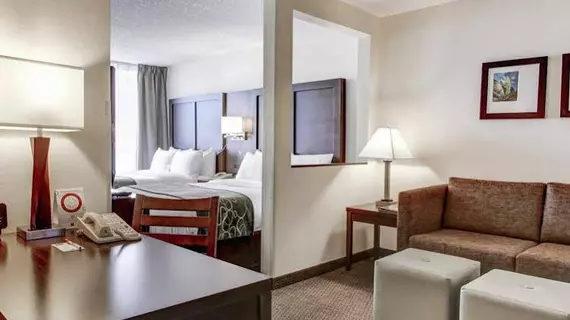 Comfort Suites - Weston | Florida - Fort Lauderdale (ve civarı) - Weston