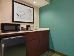 SpringHill Suites South Bend Mishawaka | Indiana - South Bend (ve civarı) - Mishawaka