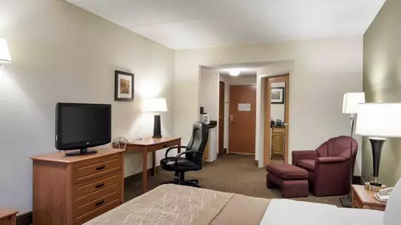 Comfort Inn & Suites Lavale | Maryland - Cumberland (ve civarı) - LaVale