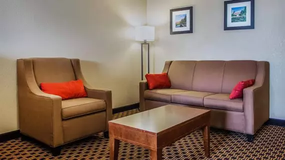 Comfort Inn Joliet | İllinois - Joliet