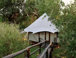 Hamiltons Tented Camp Hotel | Mpumalanga - Mbombela - Kruger National Park